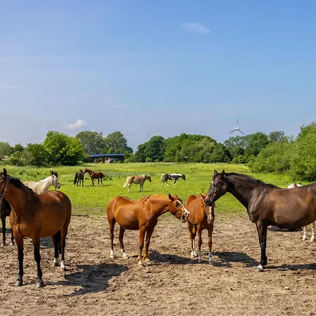 Flori's Ponyhof Bauernhof Kröpelin