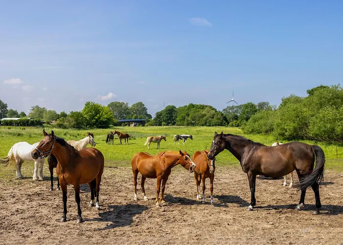 Flori's Ponyhof Bauernhof Kröpelin